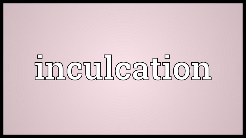 Situations When You’ll Need to Know About Inculcation